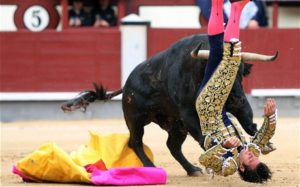 Famed bullfighter David Mora seen here failing as a human.