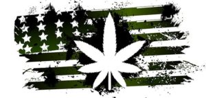 marijuana-america-735-350